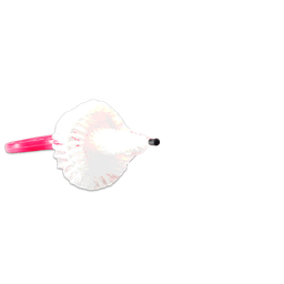 [DL021] Cepillo de Limpieza Pinchador Flach